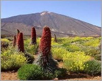 viajes a Parque Nacional del Teide